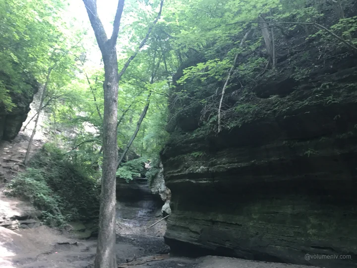 Nature / Matthiessen