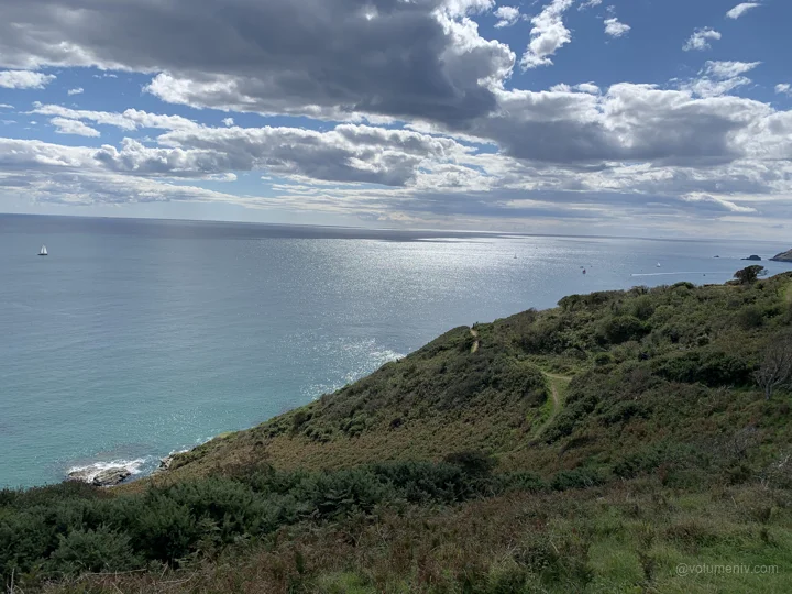 Coasts / Salcombe