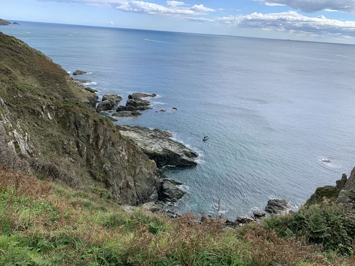 Coasts / Salcombe