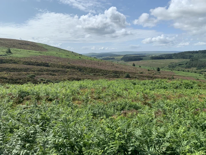 A view from Dartmoor National Park