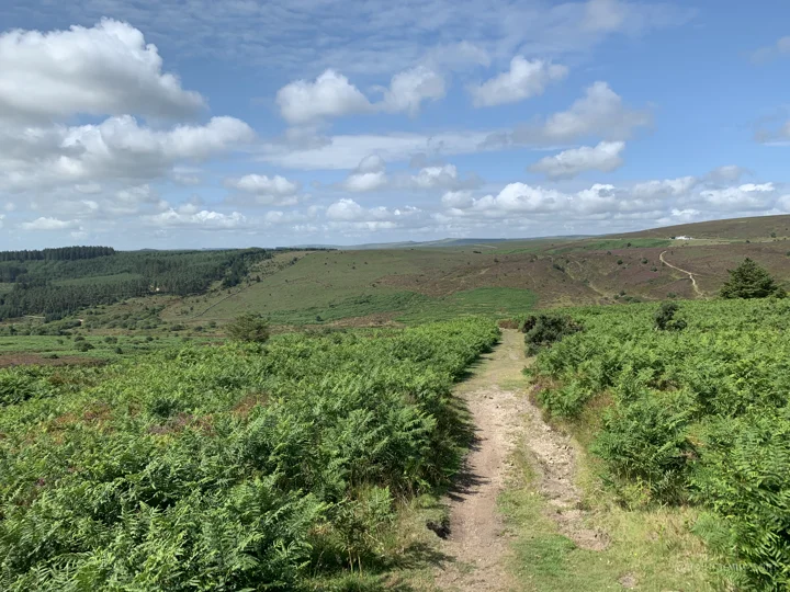 A view from Dartmoor National Park