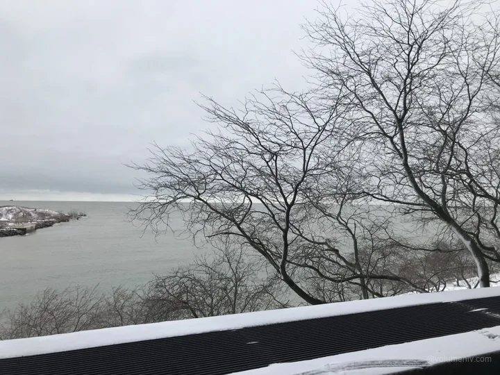 A view from Chicago