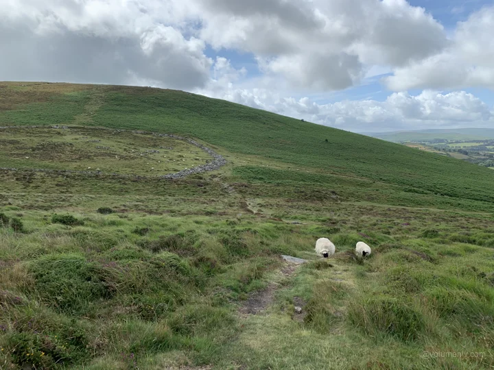 A view from Dartmoor National Park
