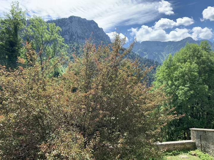 Nature / Saint-Pierre-de-Chartreuse