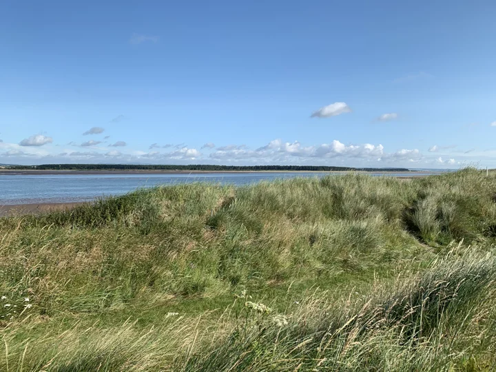 Landscapes / St Andrews Links