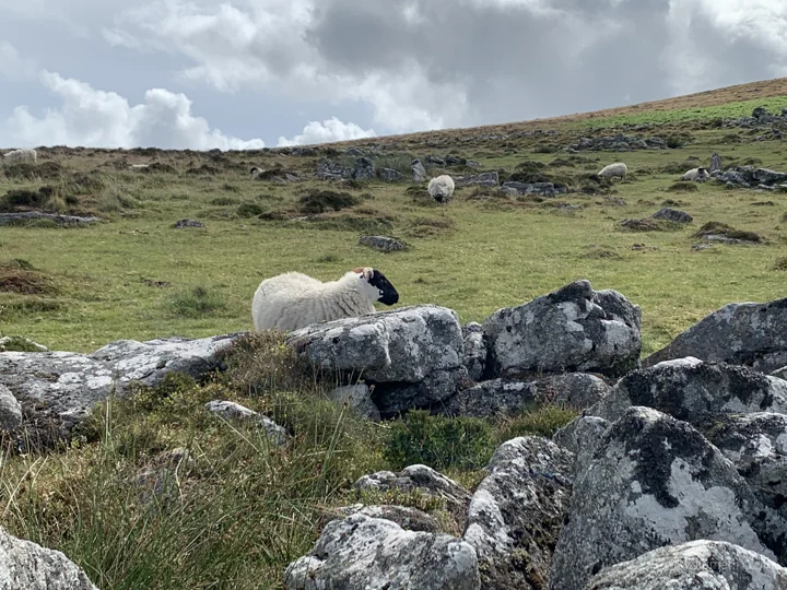 A view from Dartmoor National Park