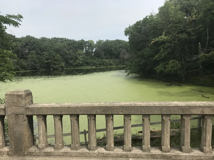 A view from Matthiessen