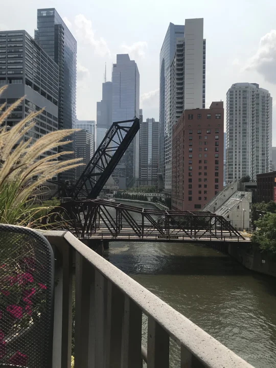 A view from Chicago
