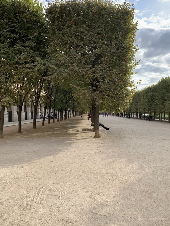 A view from Paris