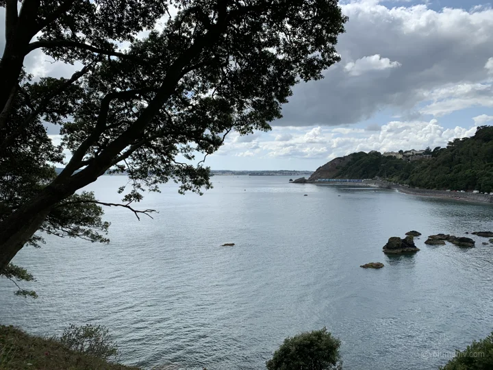 Coasts / Torquay & Yelverton