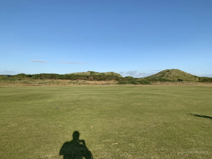 Landscapes / St Andrews Links
