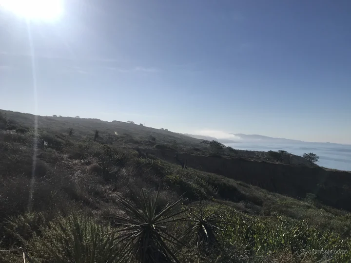 A view from San Diego