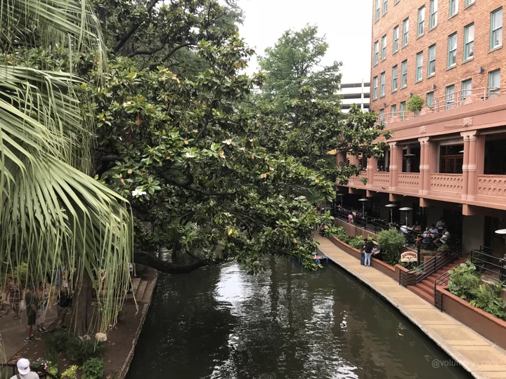 A view from Hemisfair Park