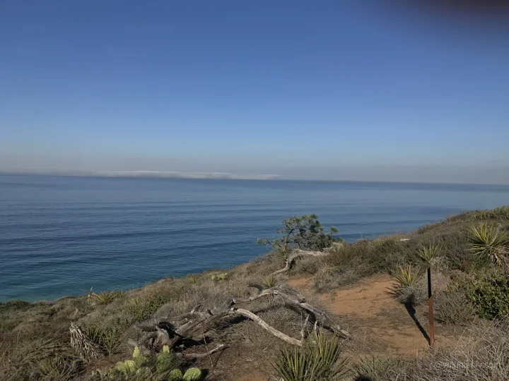 A view from San Diego