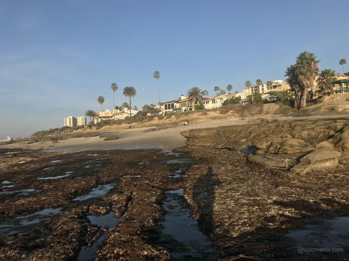 A view from San Diego