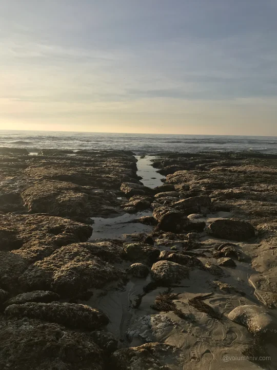 Coasts / San Diego